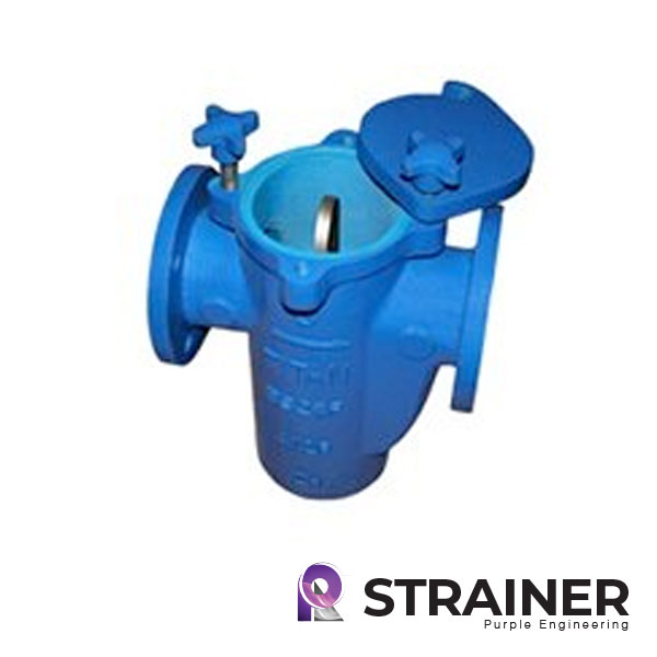 Strainer-BS25F-Cl