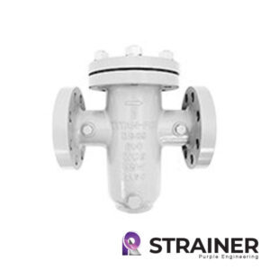 Strainer-BS89-SS